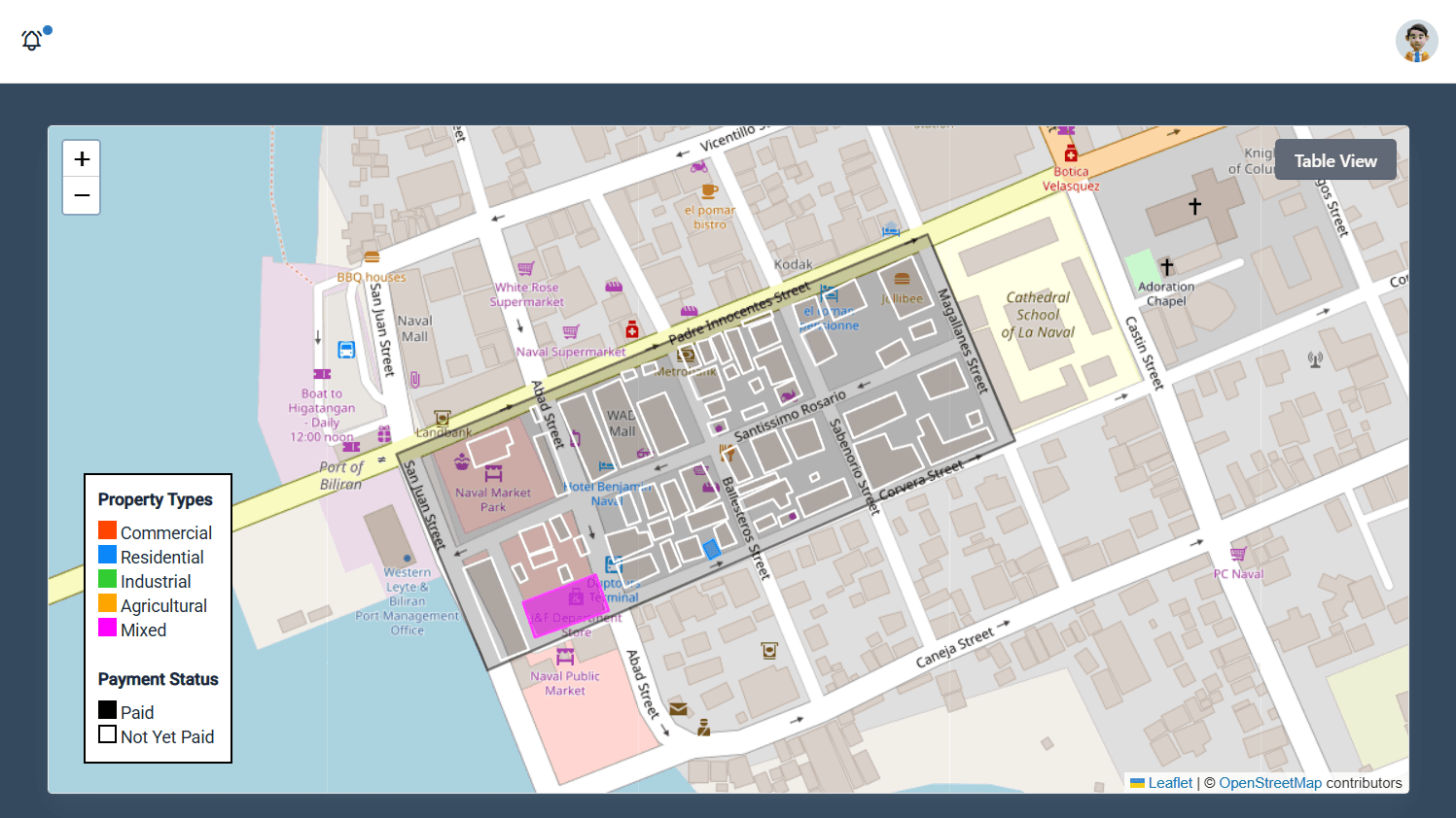 Real Property Tax Mapping with Tax Collection System — image 1 of 3