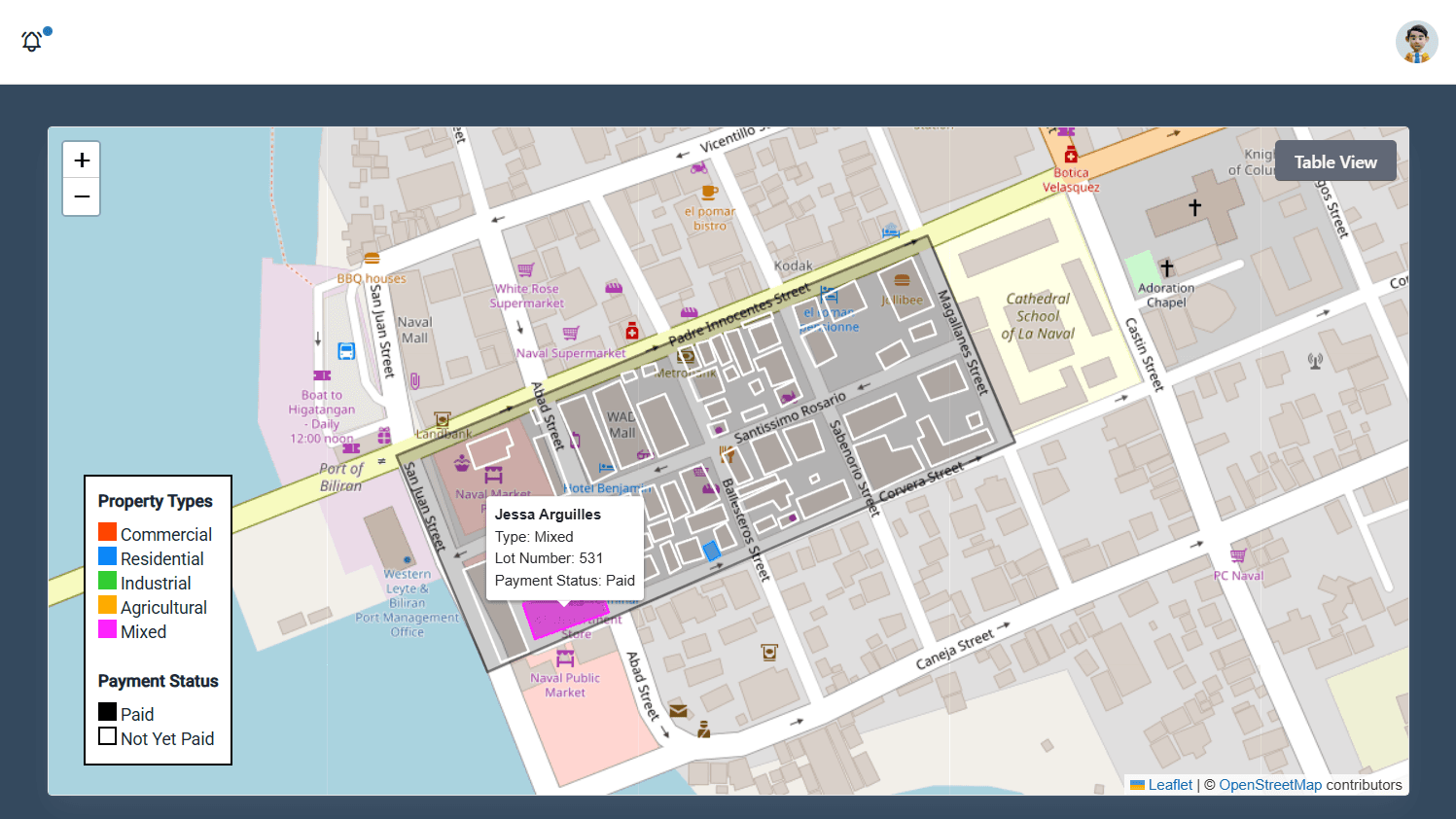 Real Property Tax Mapping with Tax Collection System — image 2 of 3